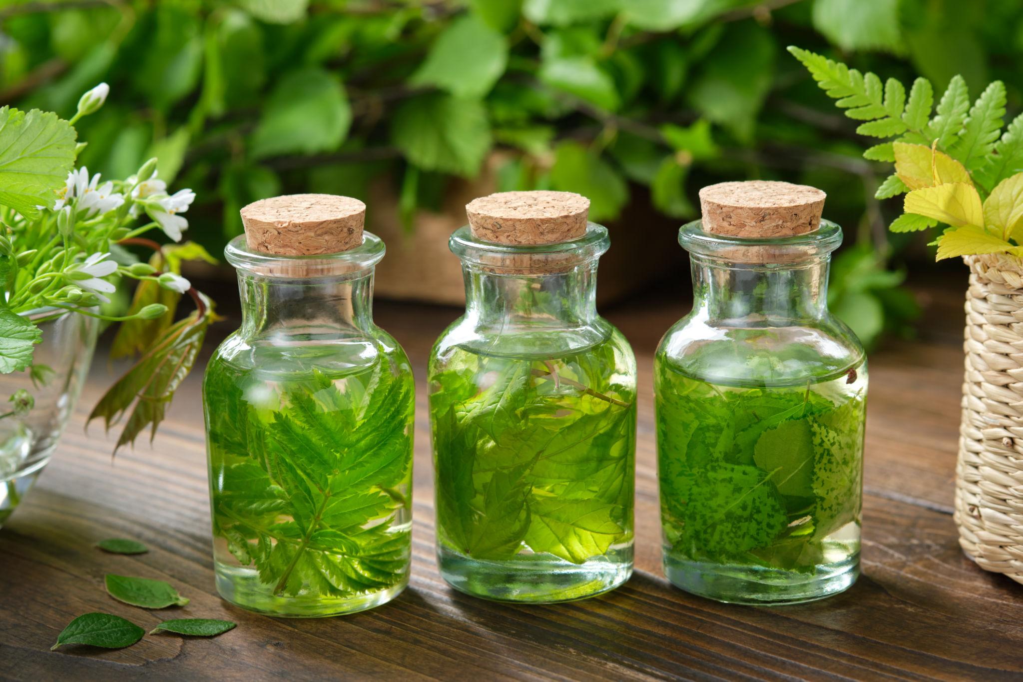 Bocaux et bouteilles d’infusion à froid aux agrumes et herbes fraîches.